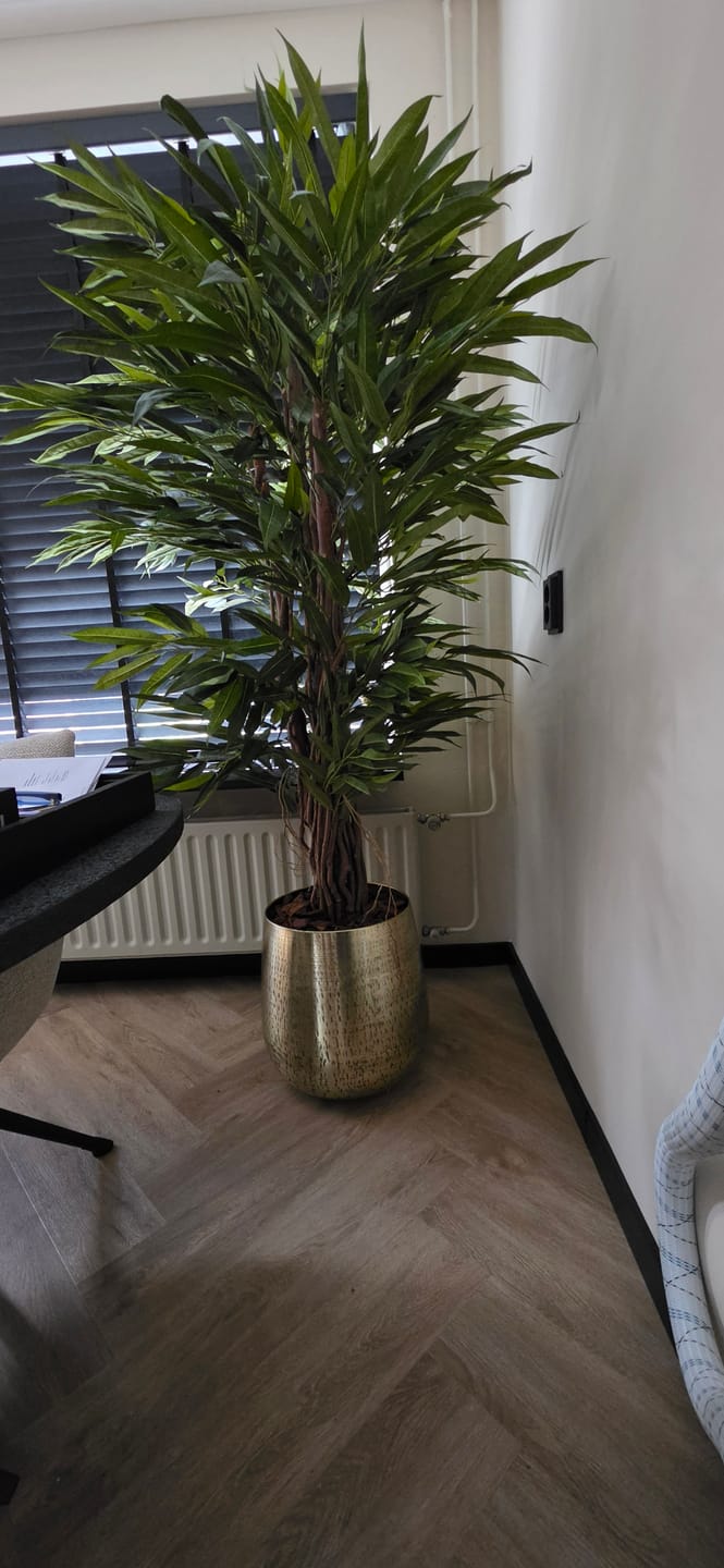 Customer photo review of Longifolia Kunstplant 180cm