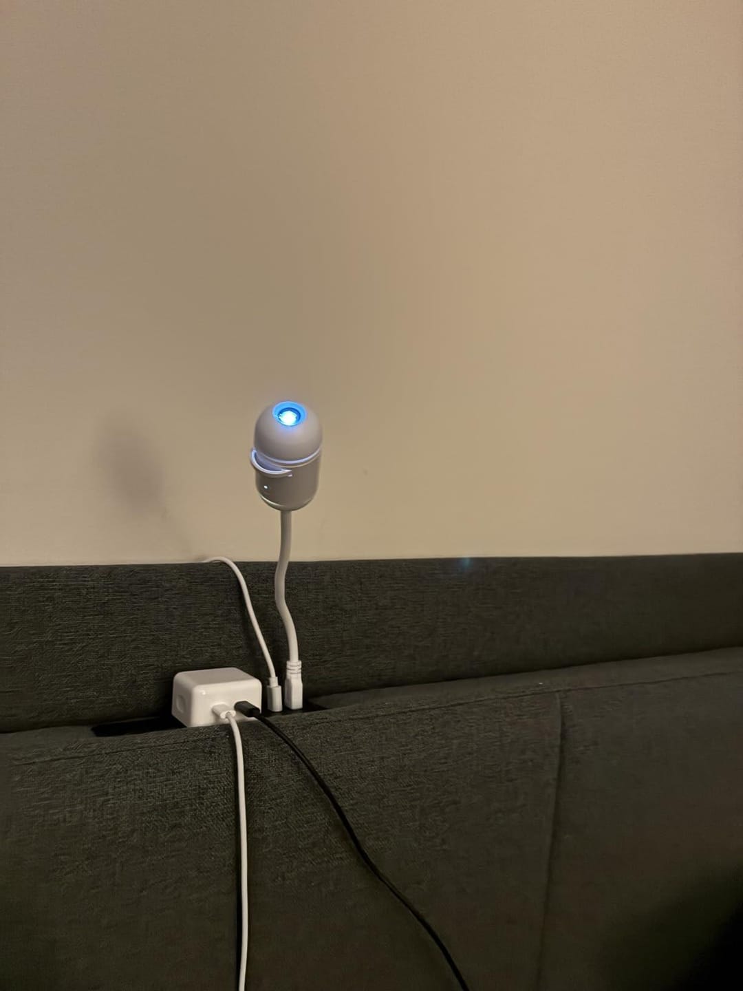 Customer photo review of Lumina Living Projection Night Light