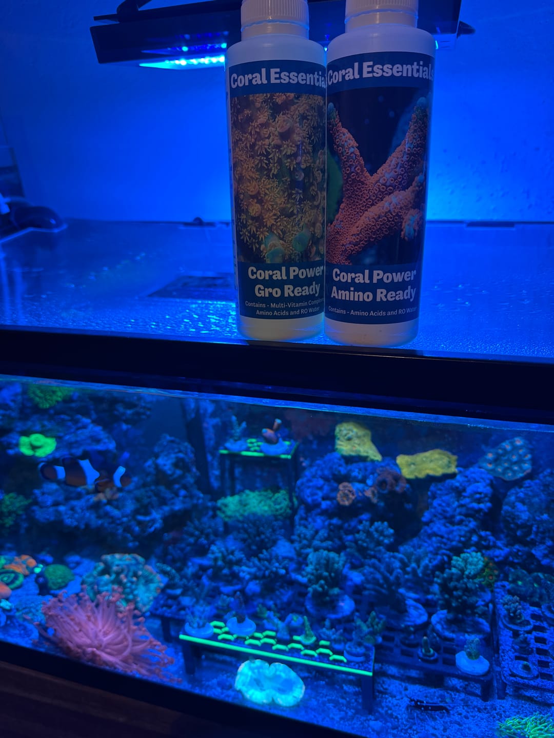 Customer photo review of Coral Essentials Gro Ready