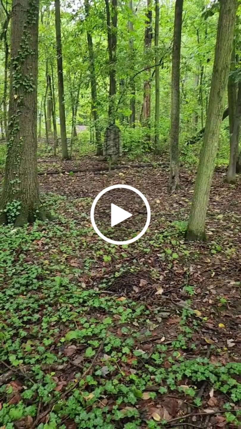 Customer video review of Lightweight Mesh Tactical Hoodie