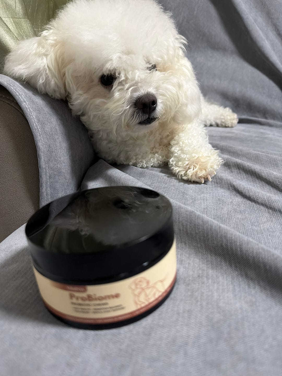 Customer photo review of ProBiome™狗狗益生菌軟粒