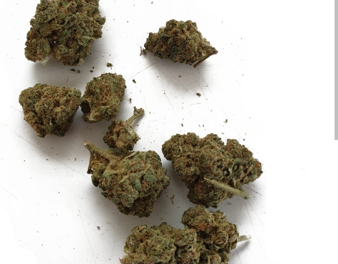 Customer photo review of THC-A 29% Blüten White Truffle