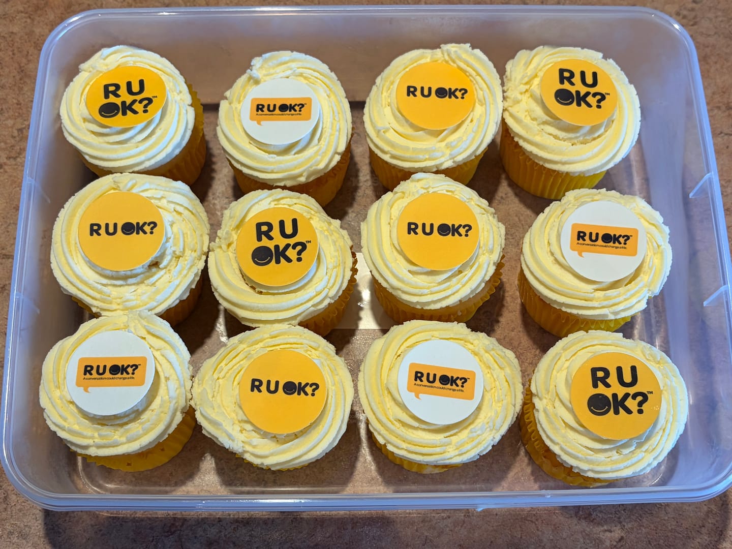 Customer photo review of R U OK Day - Edible Icing Images - Pre-cut