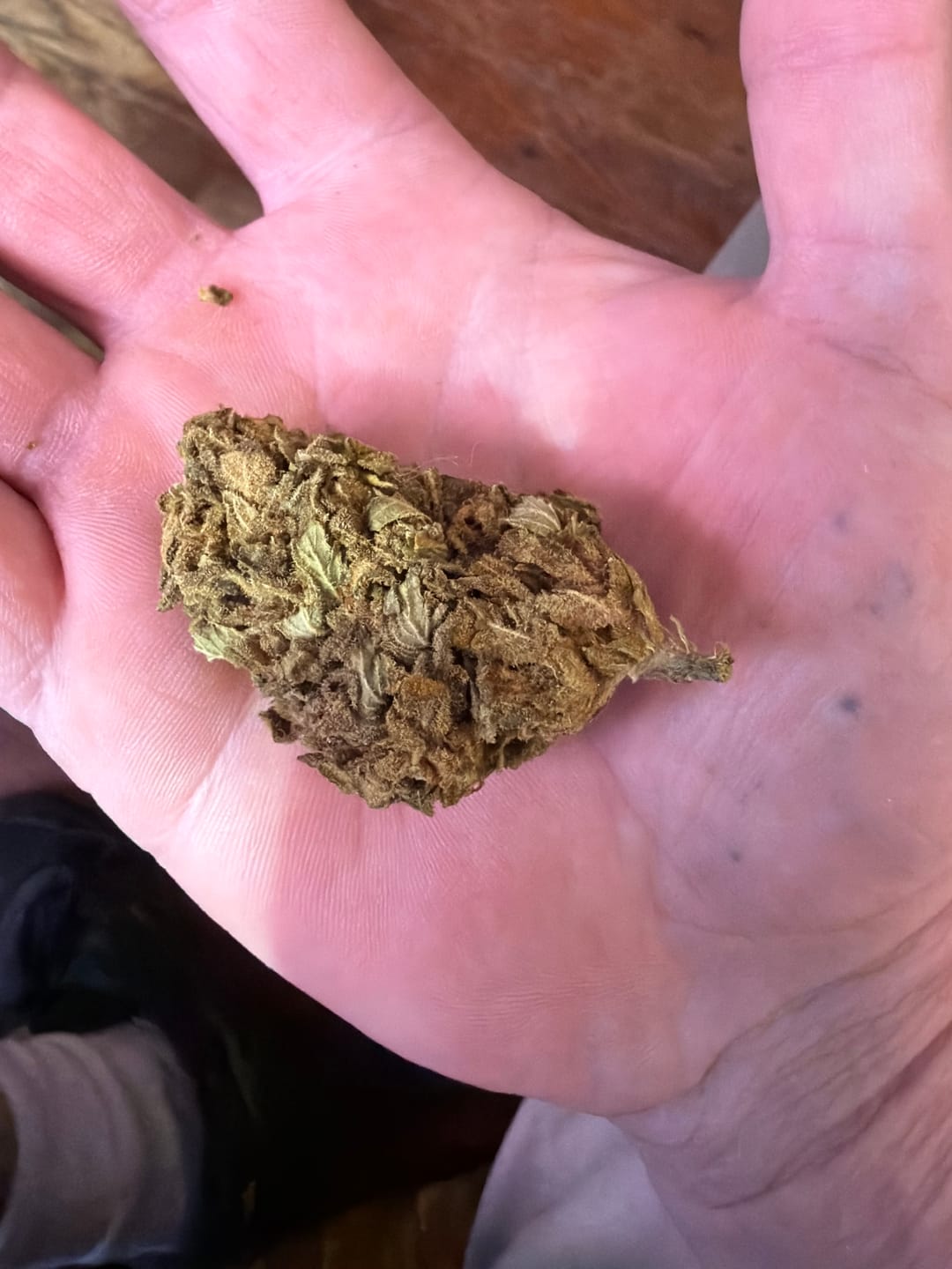 Customer photo review of Cheap THCA Flower Pound