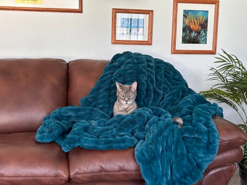 Customer's plush blue Deep Lake blanket draped over a brown leather couch with a cat resting in the center.