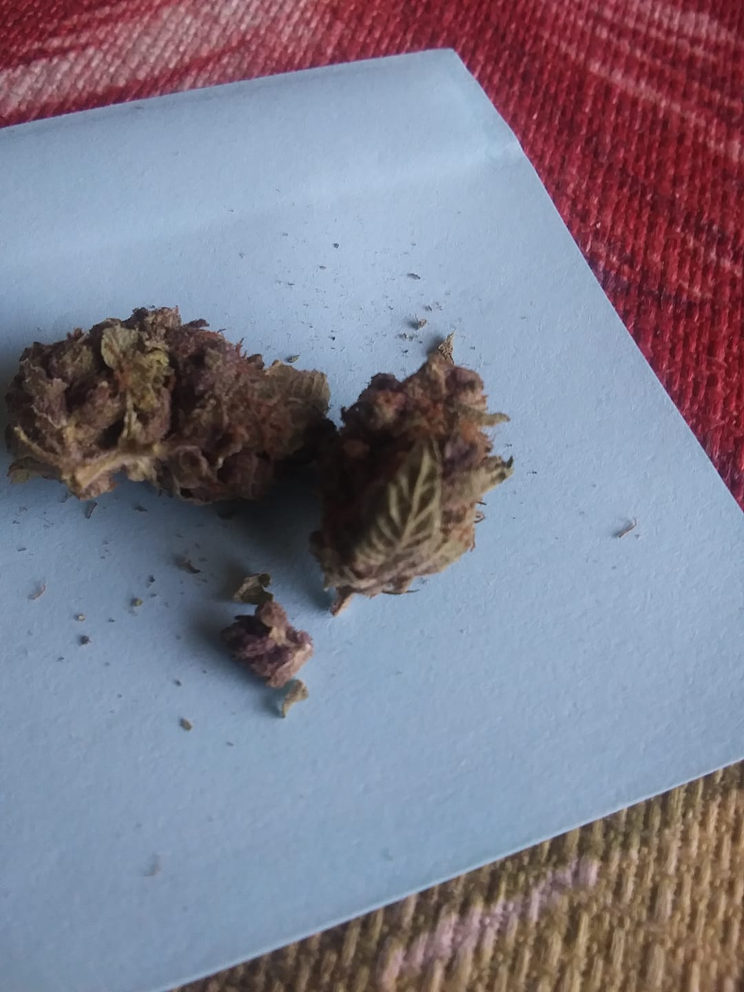 Customer photo review of Granddaddy Purple - 14 Grams - Indica