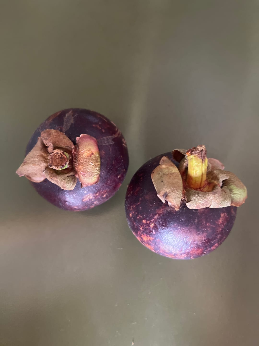 Customer photo review of Mangostan (Mangosteen) Sommeraktion %