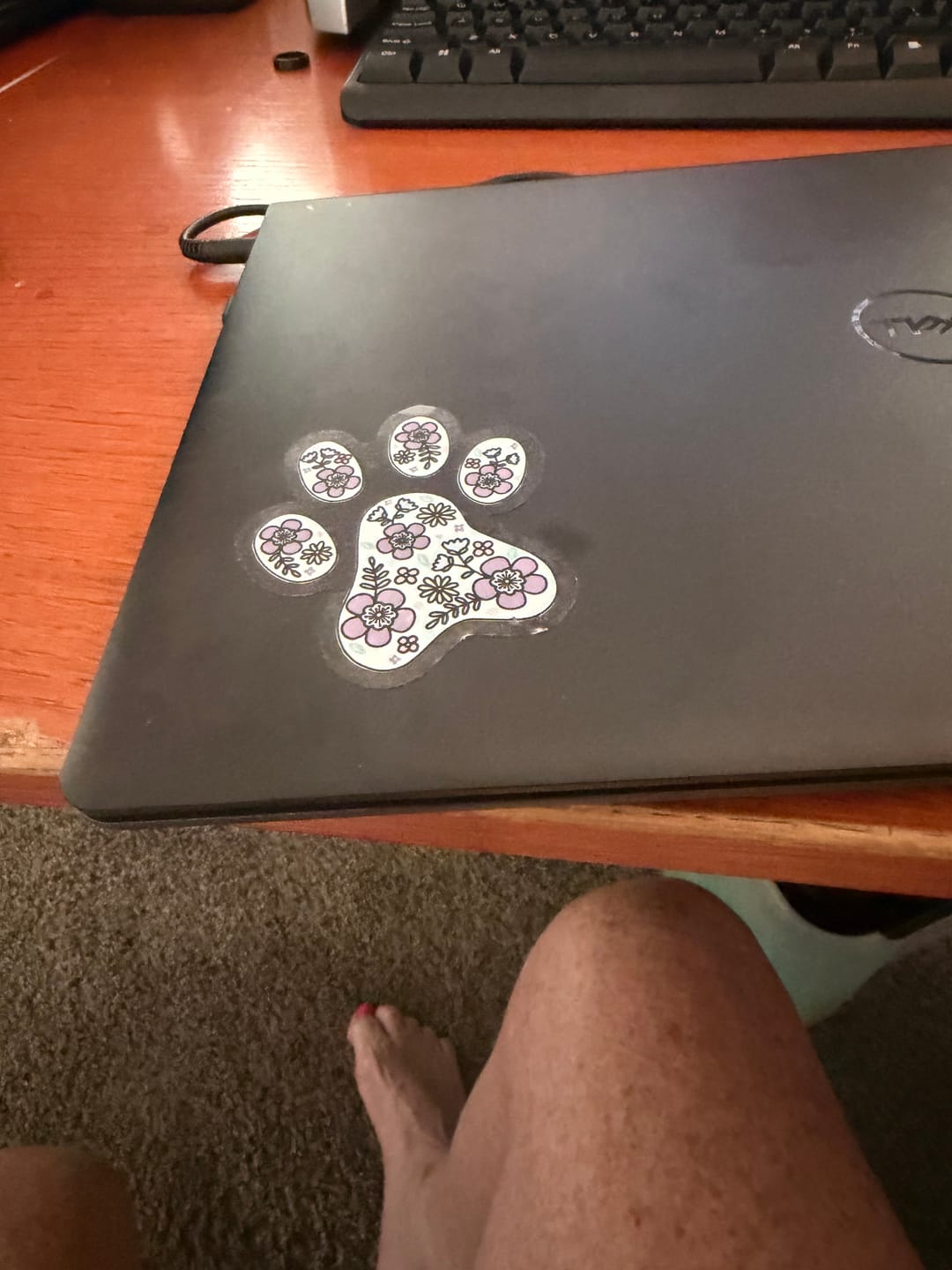 Customer photo review of Paw Print Clear Sticker