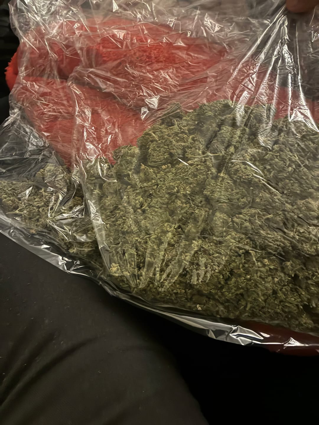 Customer photo review of Cranberry Kush - Bulk - Hybrid