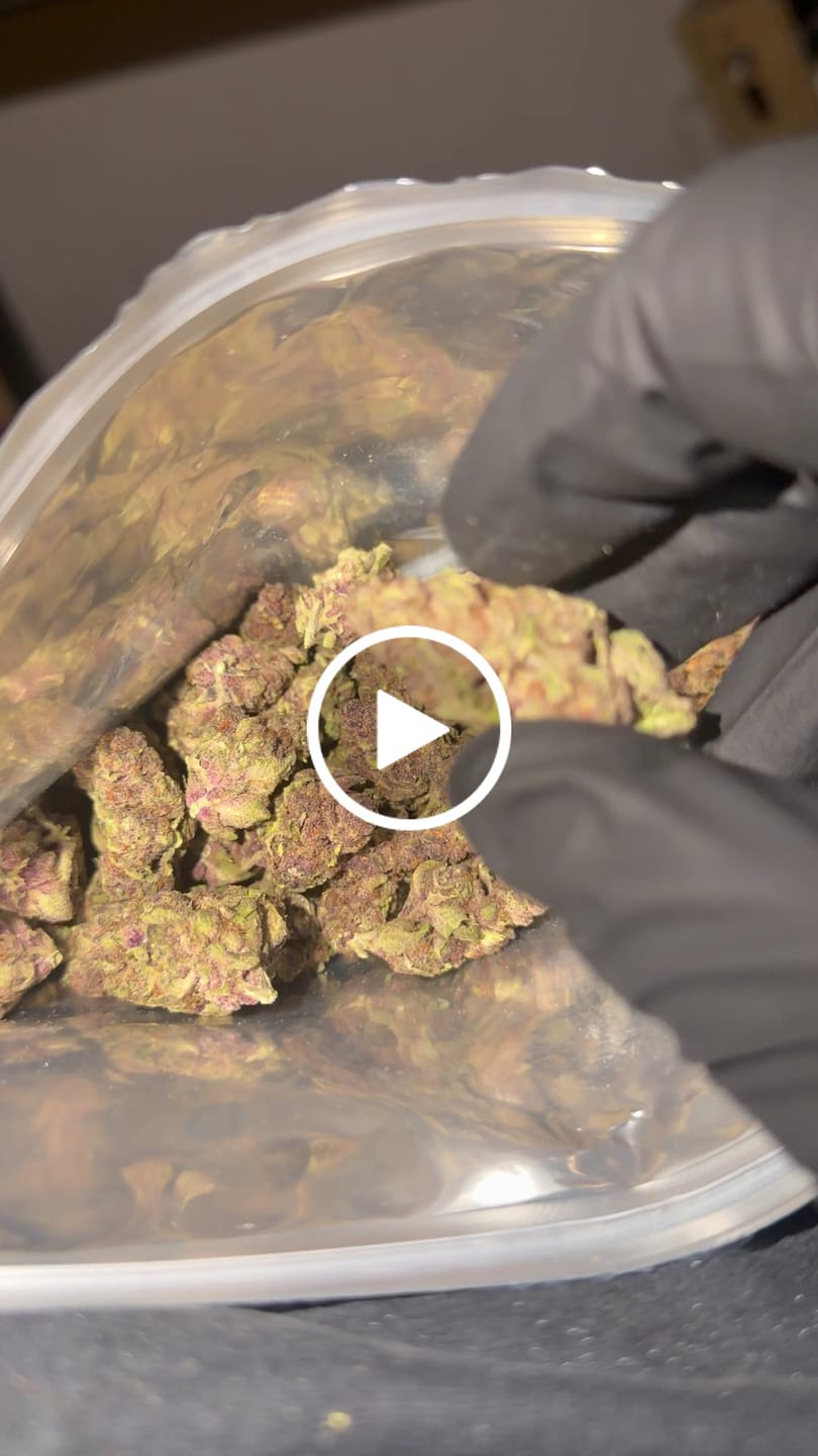 Customer video review of Tropicana Cherry THCA Flower