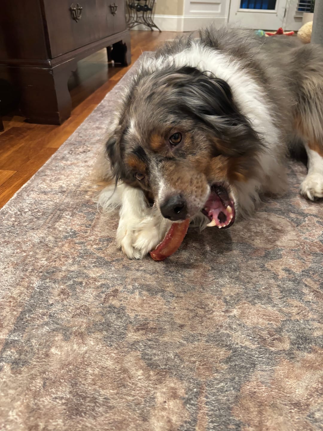 Customer photo review of Large Bully Stick Ring