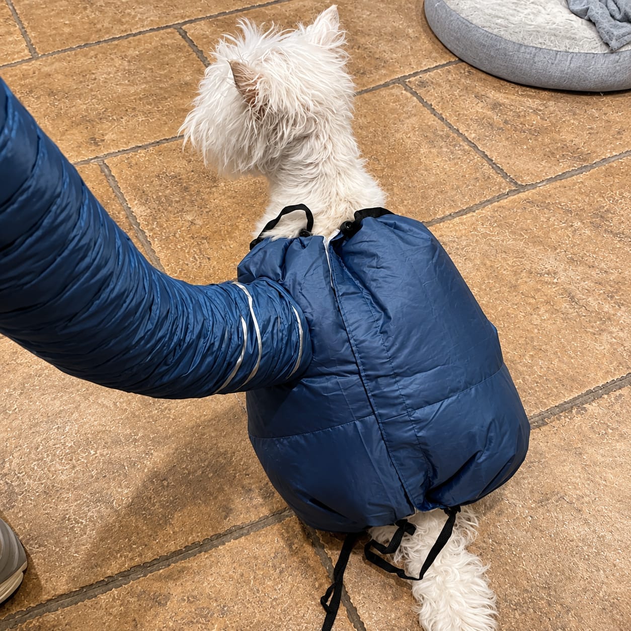 Customer photo review of PawNest ™ - Dog hair dryer