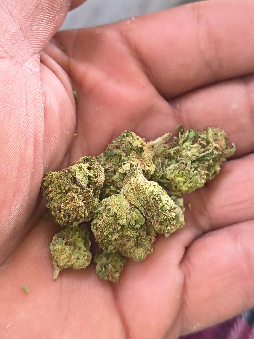 Customer photo review of Bulk THCA Smalls