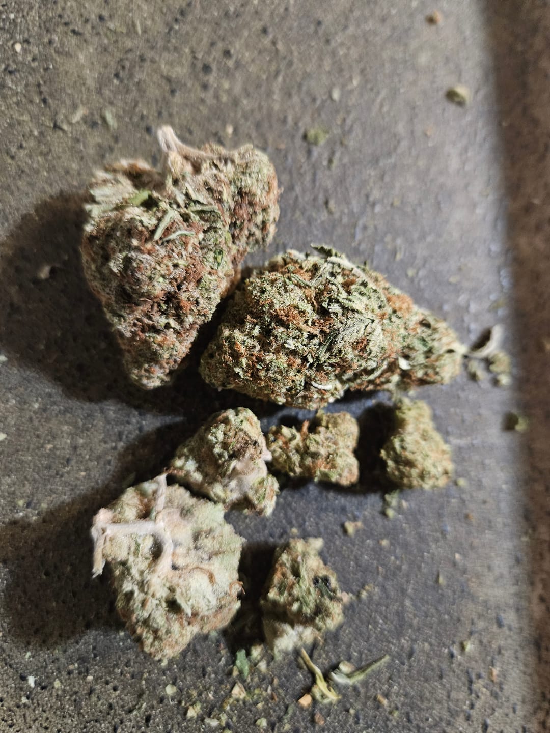 Customer photo review of Acapulco Punch THCA Flower