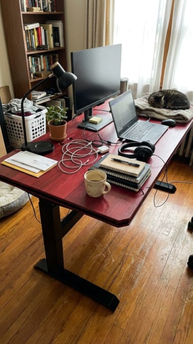 Customer photo review of STANDO Apex Heritage Modular Standing Desk