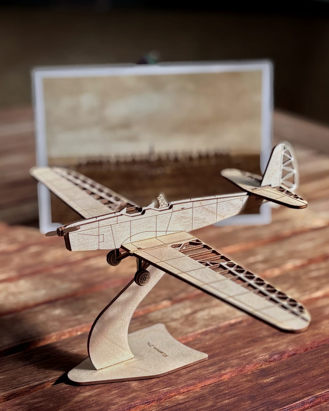 Customer photo review of Klemm L25c Deko Flugzeugmodell Bausatz | Pure Planes