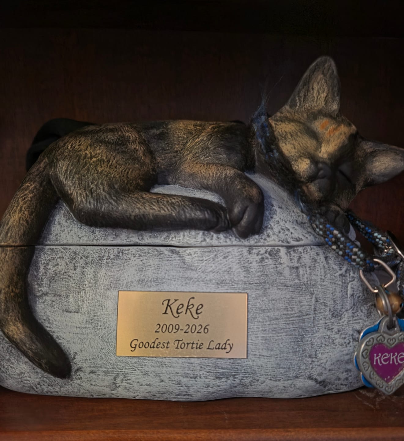 Customer photo review of Short Haired Custom Painted Ceramic Cat Urn - No Wings