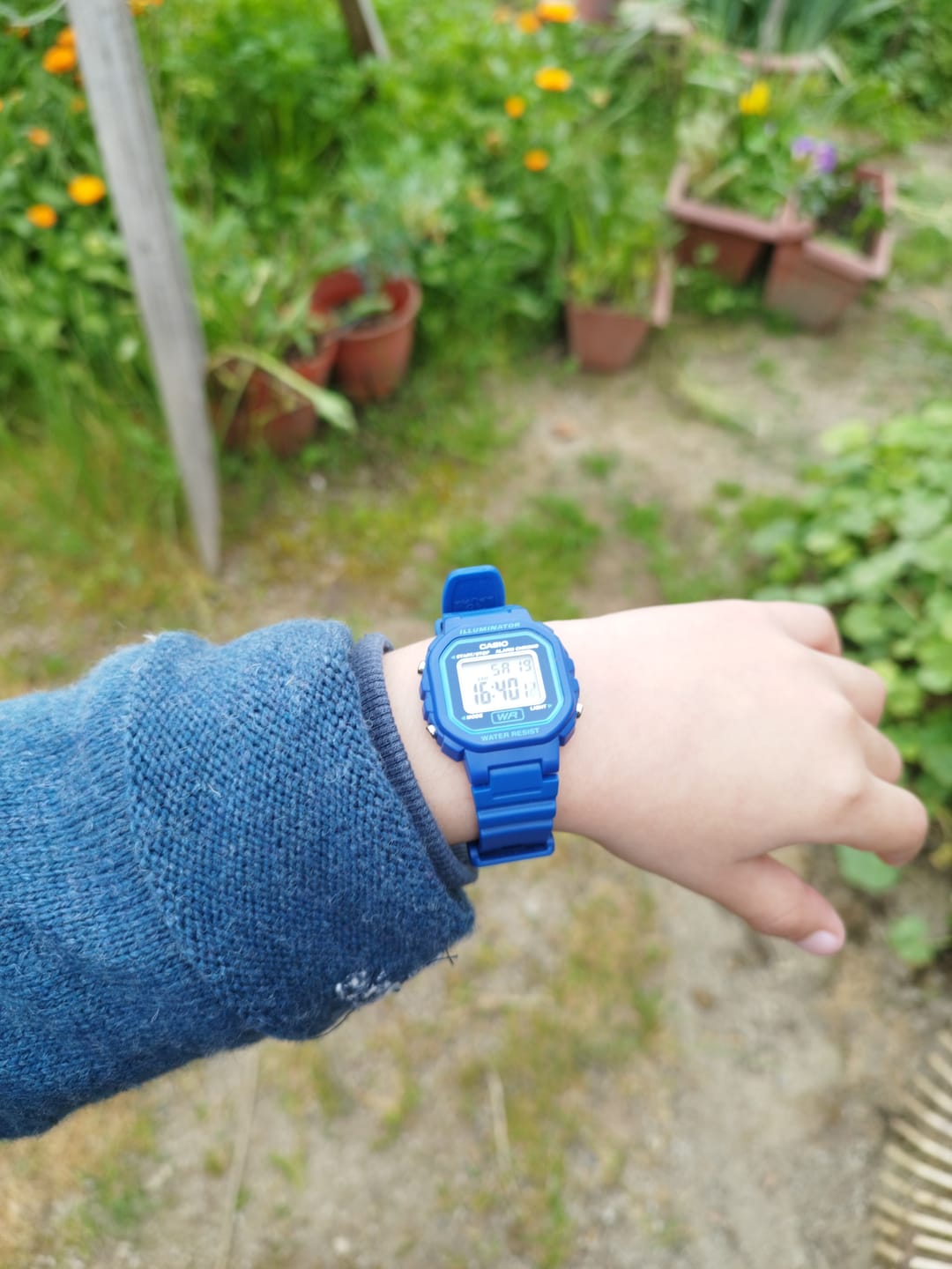Customer photo review of Reloj Casio Vintage LA-20WH-2ADF Azul