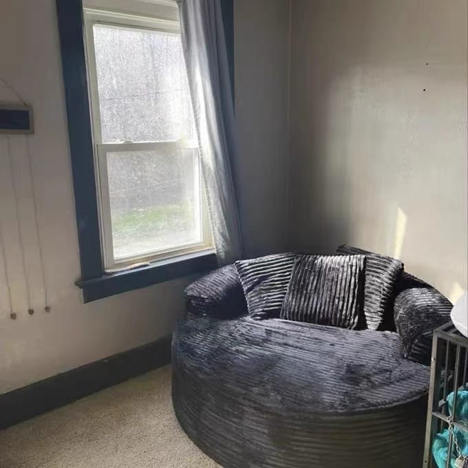 Customer photo review of Pawtique CloudCove™ Ribbed Round Bolster Dog Bed with 2 Pillows