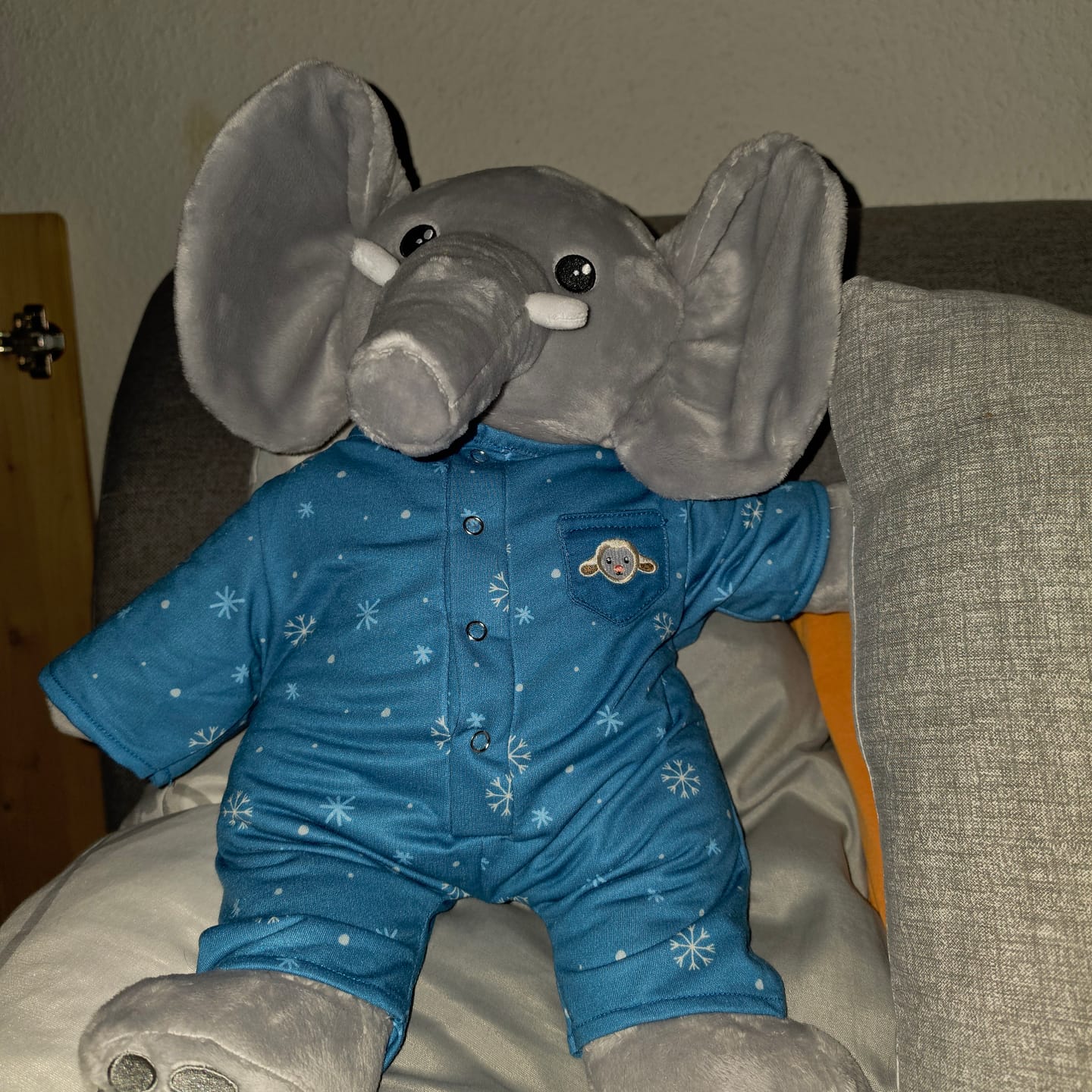 Customer photo review of Verzekerde verzending