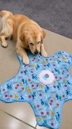Customer photo review of Pawzzle™ Interactive Dog Toy