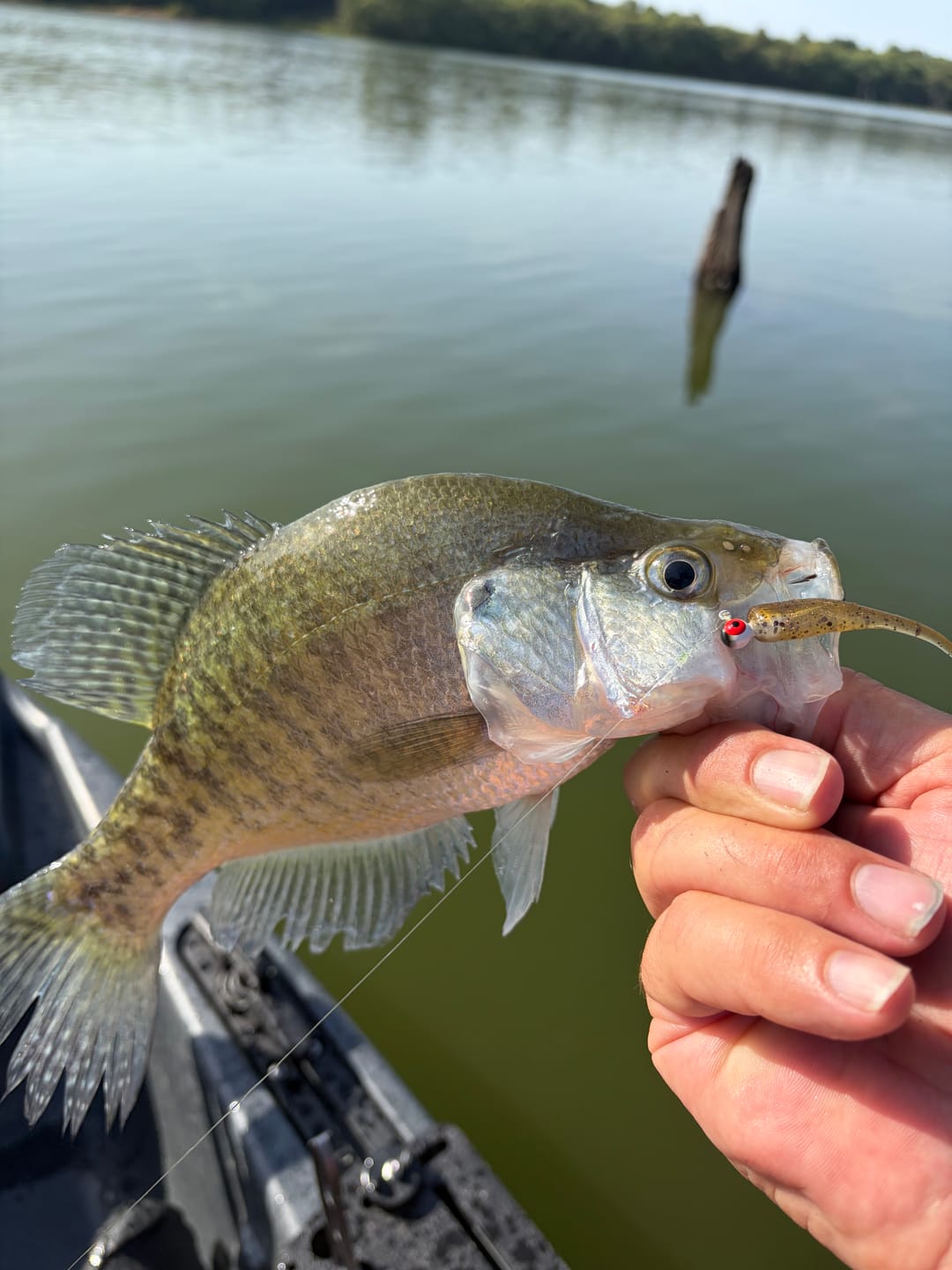 Customer photo review of Grand Slam Green