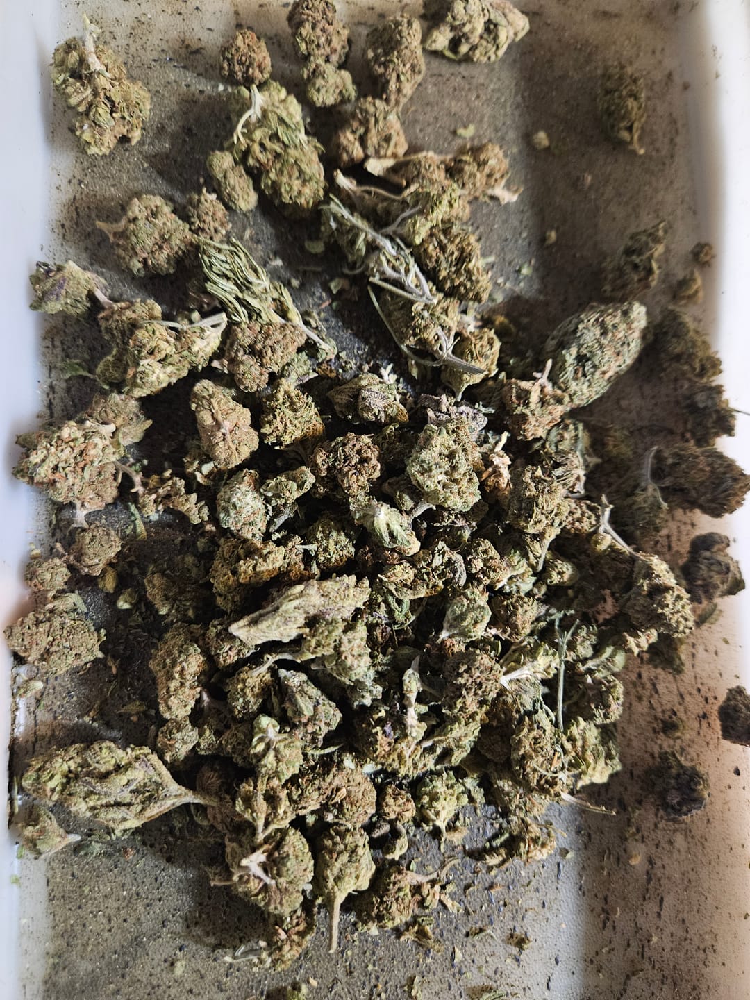 Customer photo review of Dank Work THCA Trim