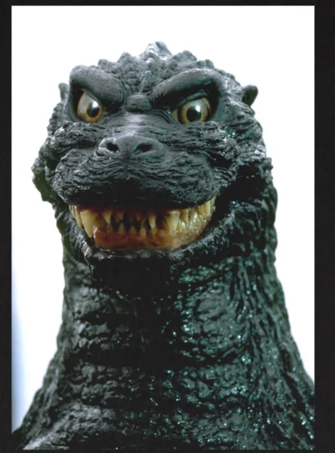 Customer photo review of Godzilla 1954 Movie
