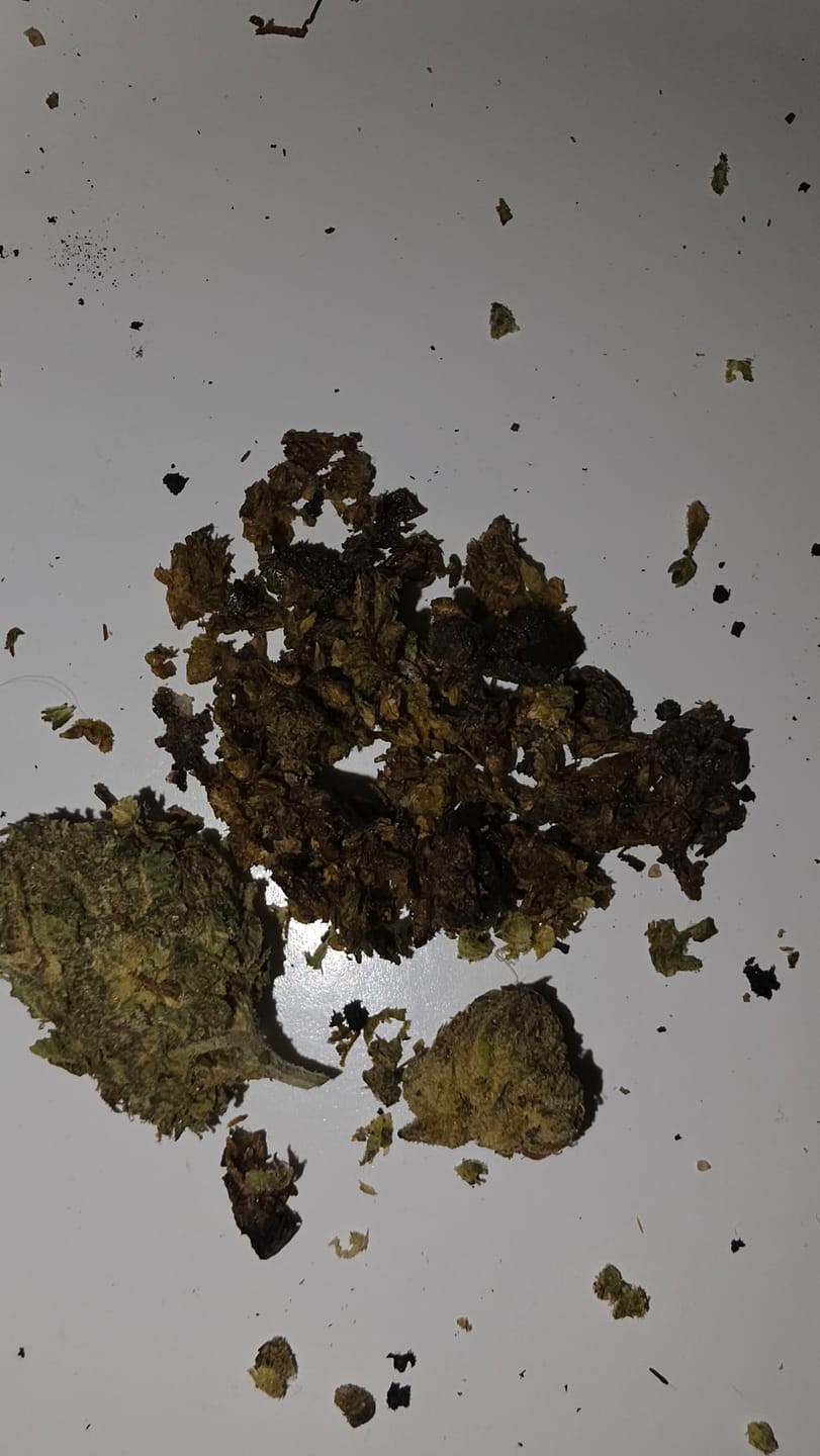 Customer photo review of Yerba Fuel
