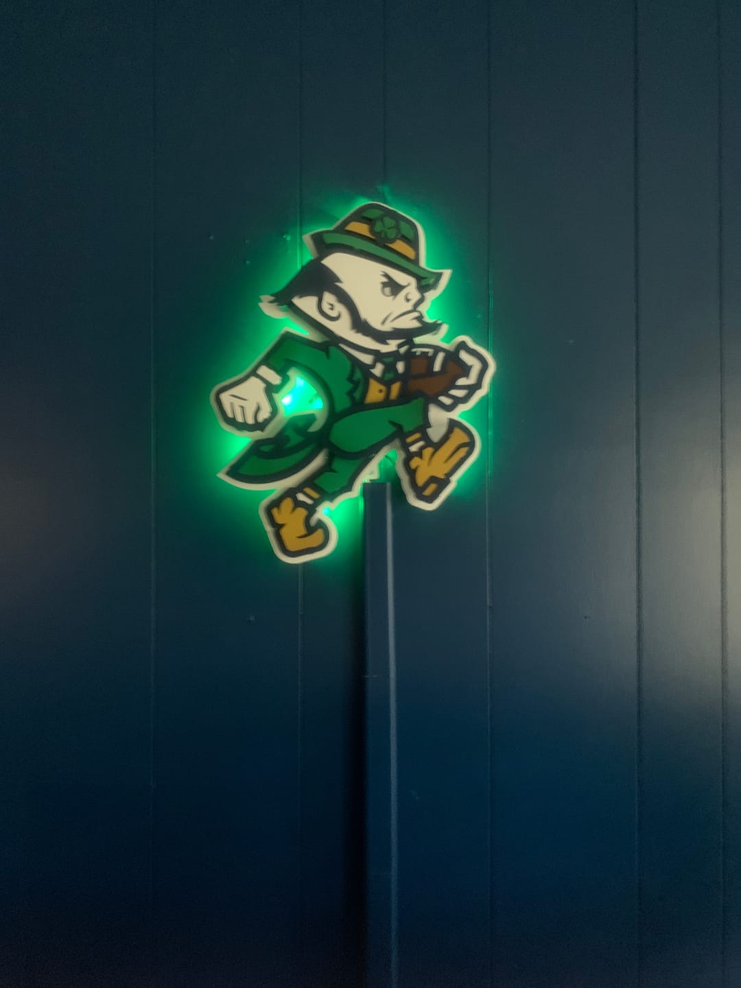 Customer photo review of Notre Dame Fighting Irish Football Leprechaun 3D Vintage Metal Wall Art