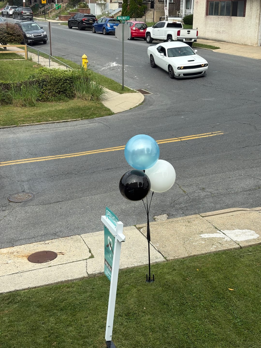 Customer photo review of DuraBalloon® 3-Balloon Cluster Pole Kit