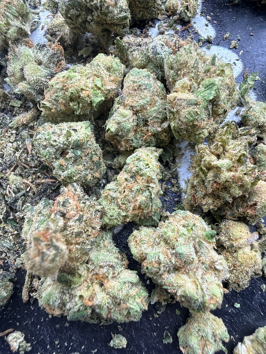 Customer photo review of Biscotti THCA Flower (Budget)