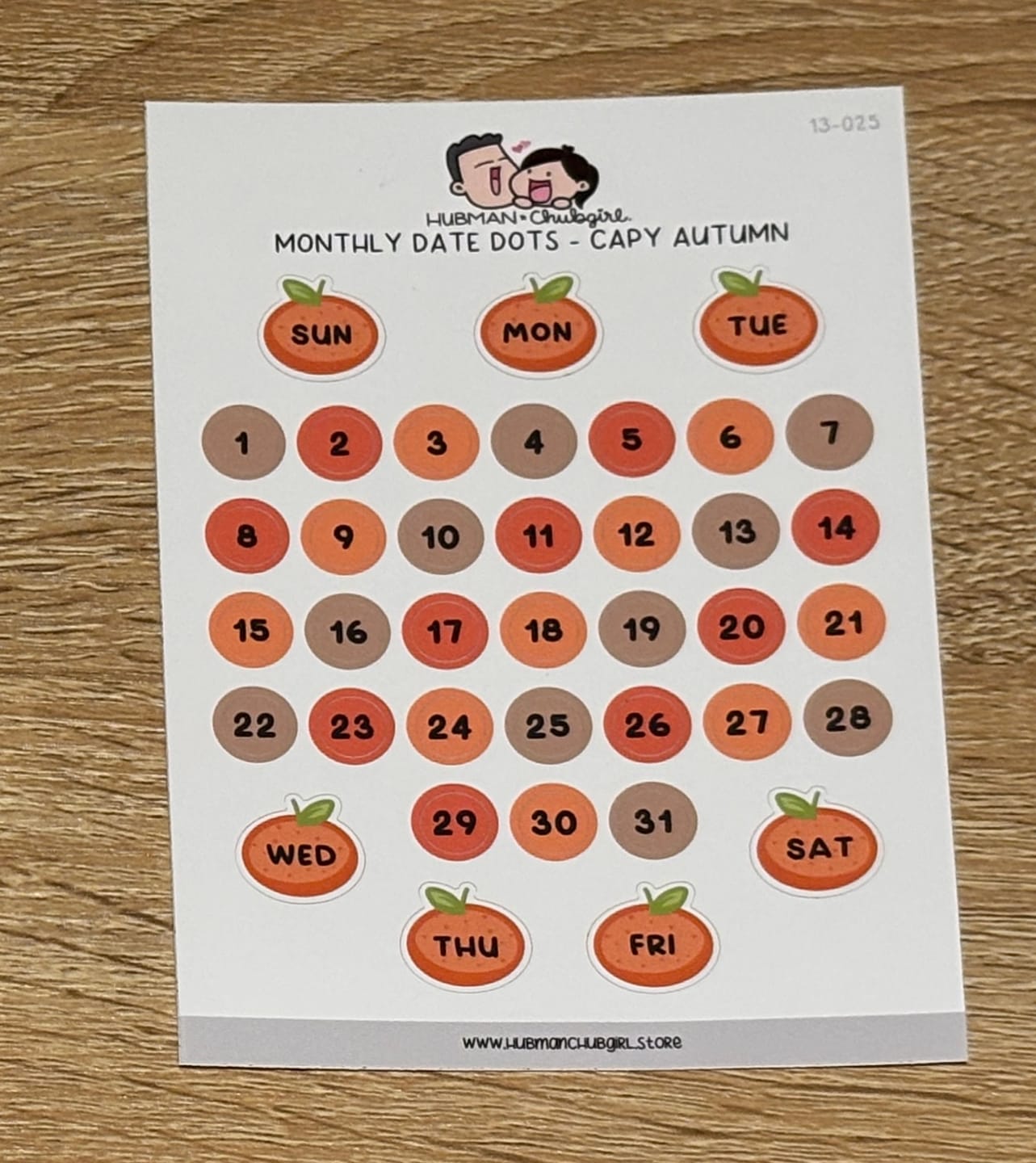Customer photo review of Monthly Date Dots -Capy Autumn Planner Stickers