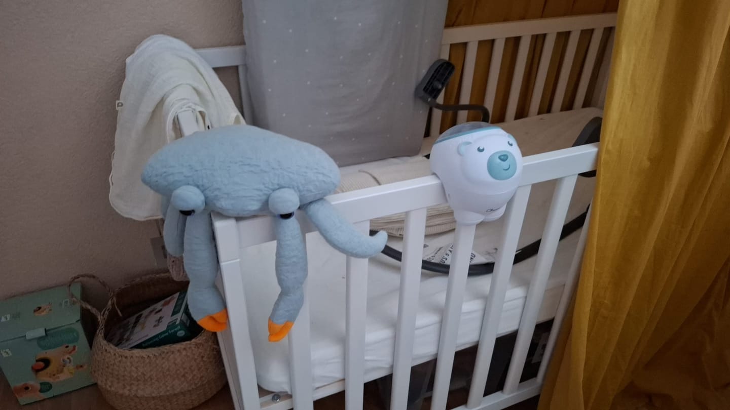 Customer photo review of The Mini Crab
