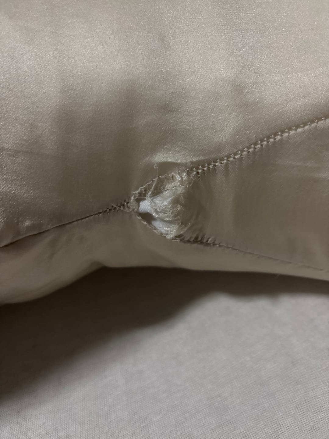 Customer photo review of Housse de rechange - 100% SOIE