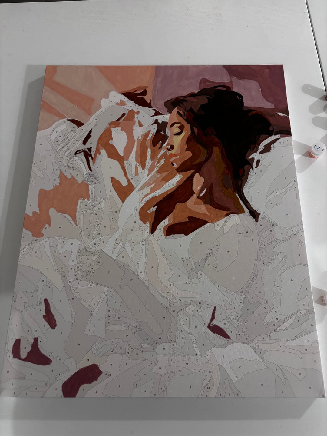 Customer photo review of Why Not | Paint by Number