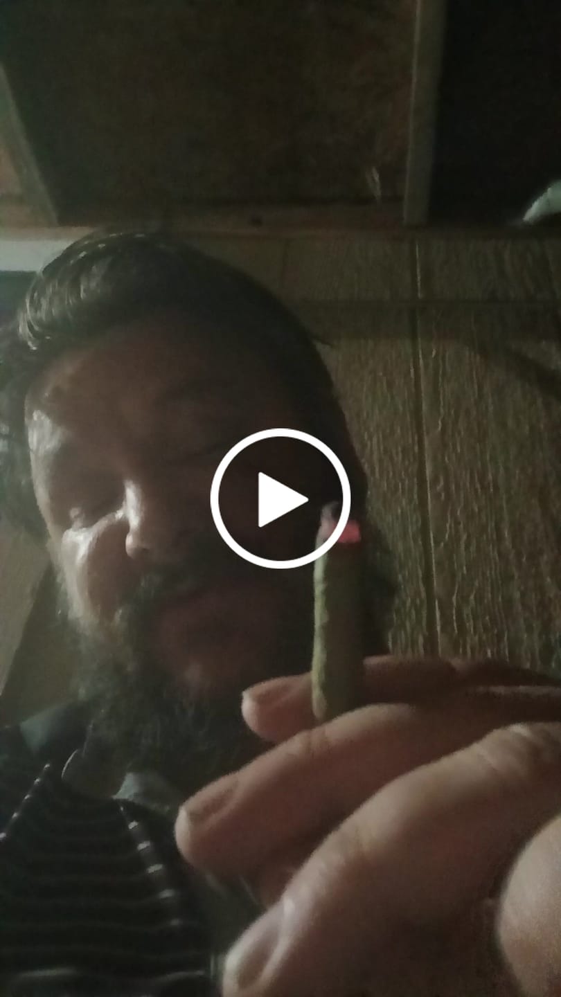 Customer video review of White Rhino THCA Flower