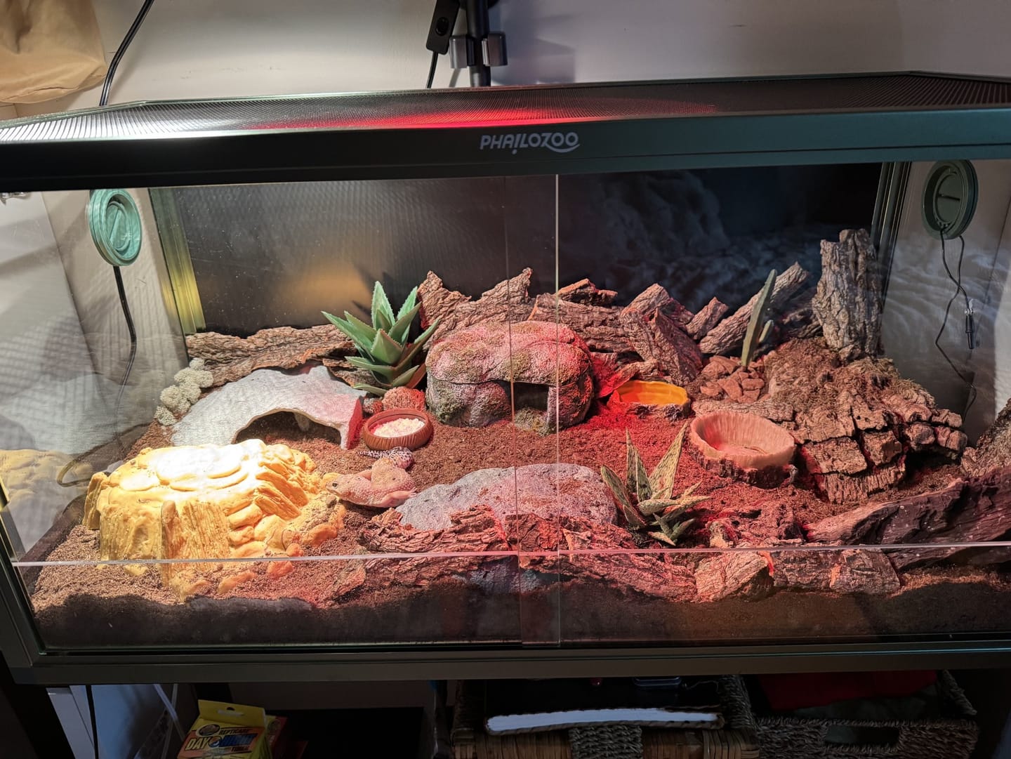 Customer photo review of 50 Gallon Leopard Gecko & Crested Gecko Enclosure 36x18x18