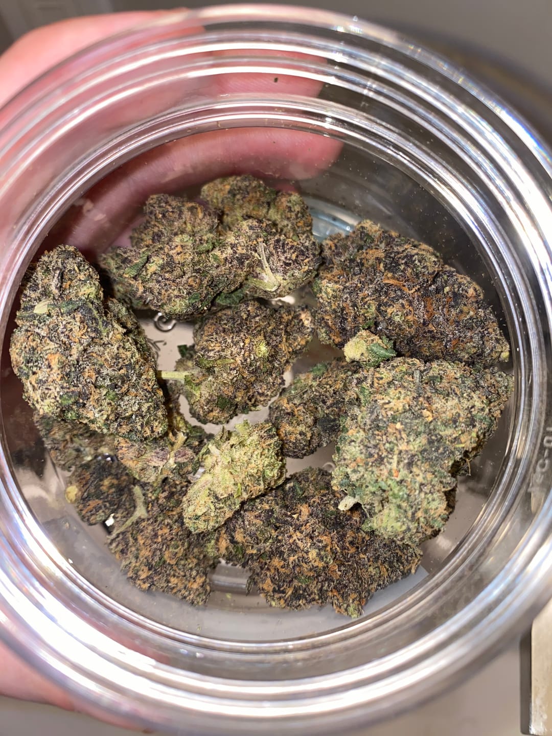 Customer photo review of Purple Push Pop -THCa Flower