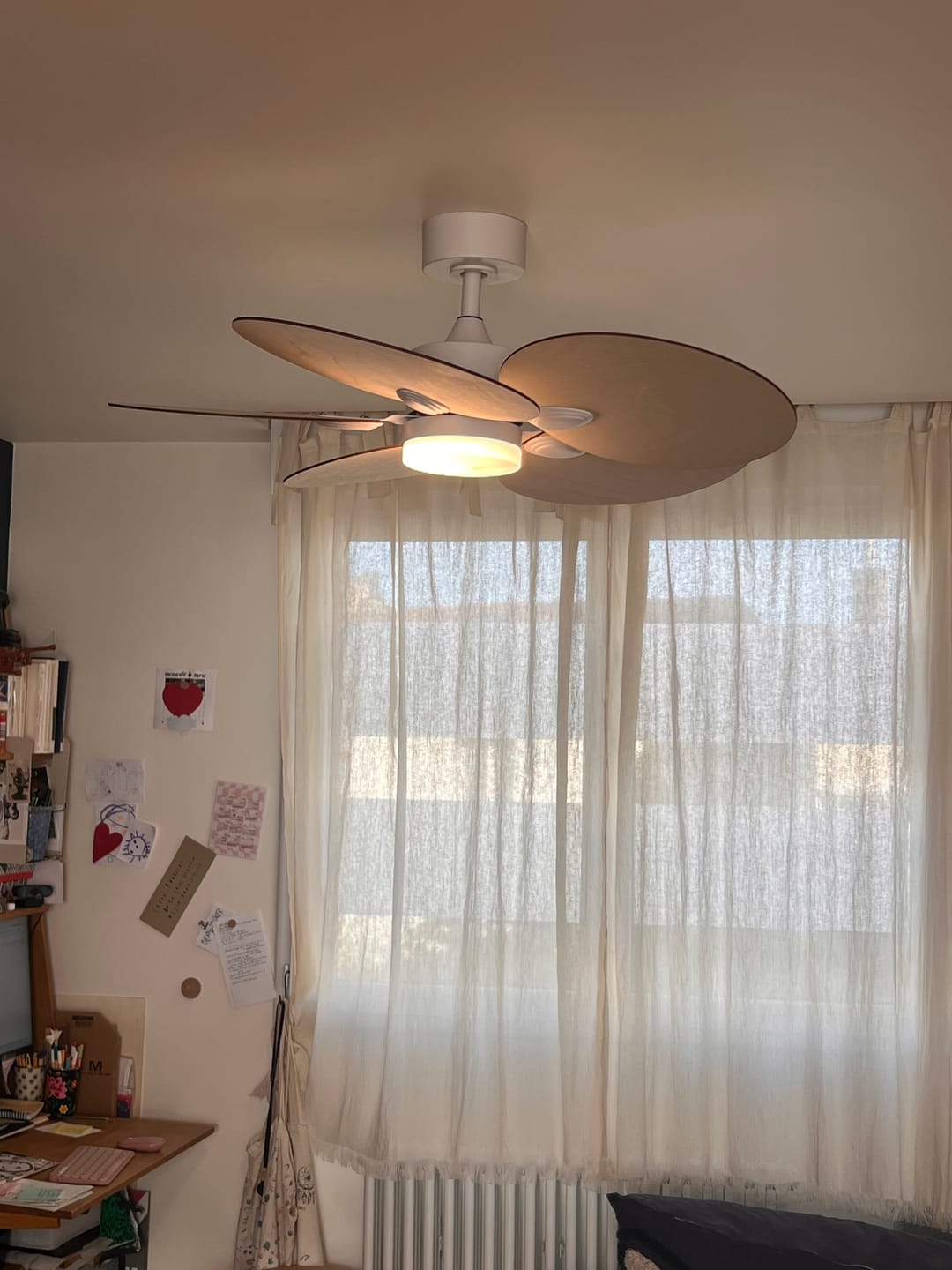 Customer photo review of Lotus | Ventilateur de plafond