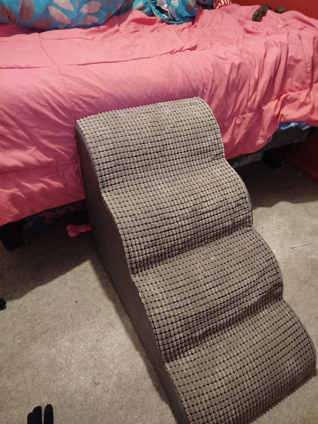 Customer photo review of Rampa Pendiente Suave THE DOGS.