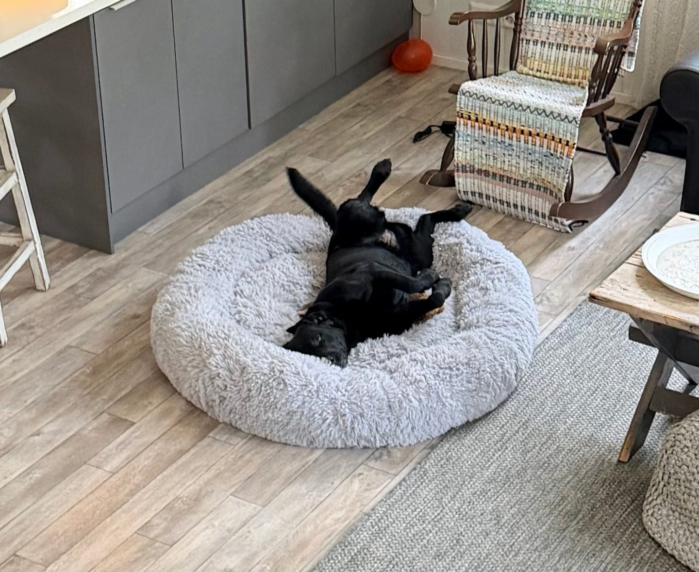 Customer photo review of CalmBed – Ehkäisee stressiä ja lievittää ahdistusta