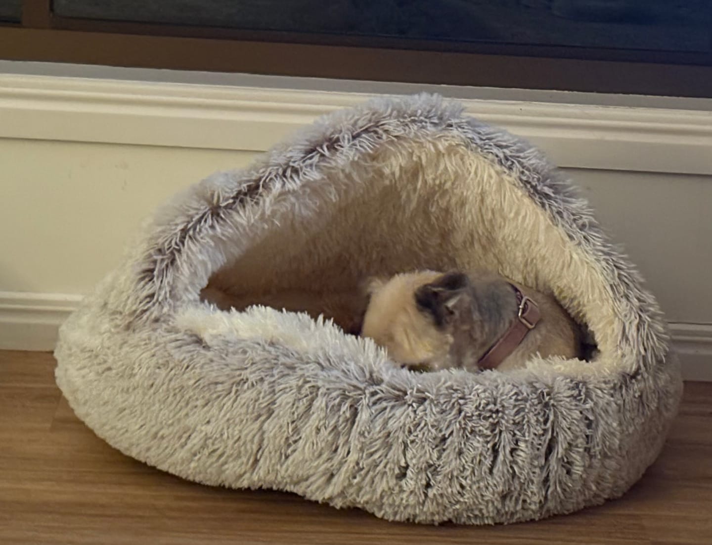 Customer photo review of Snuggle Cave