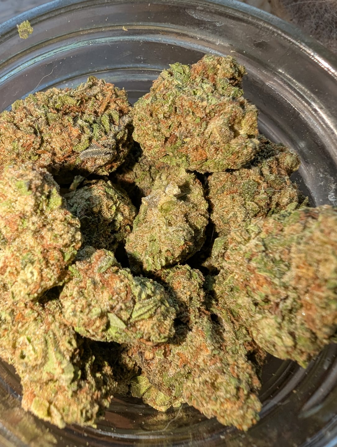 Customer photo review of Gotti OG THCA Don Flower