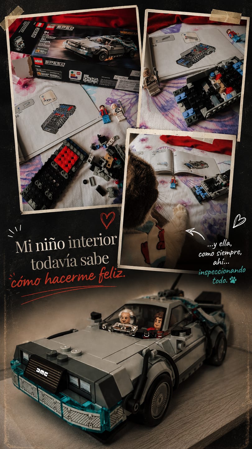 Customer photo review of MÁQUINA DEL TIEMPO DE VOLVER AL FUTURO
