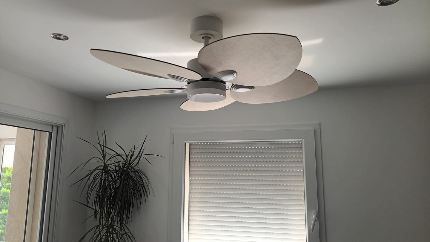 Customer photo review of Dahlia | Ventilateur de plafond