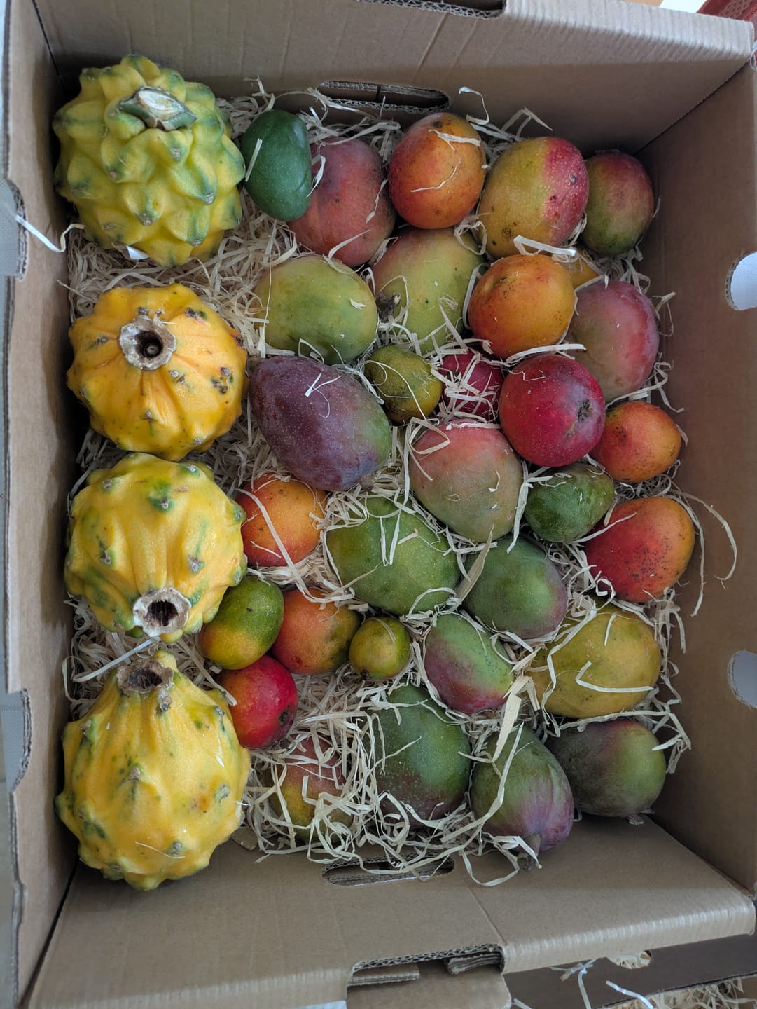 Customer photo review of Mini-Mango von Juan 3kg Retterbox %