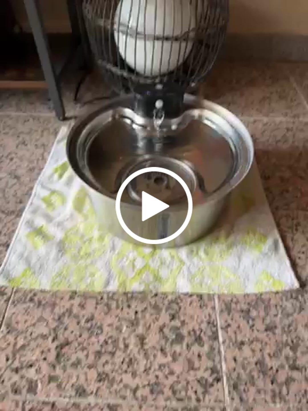 Customer video review of NordFlow 2.0 Hundebrunnen Filter Set