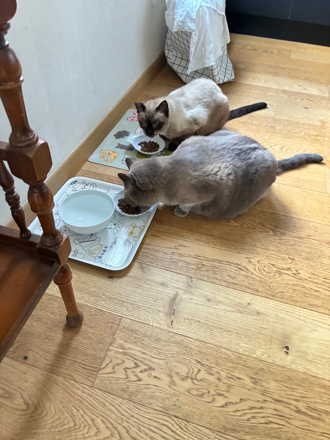 Customer photo review of Pâtée Chat Senior Sans Céréales - Boeuf
