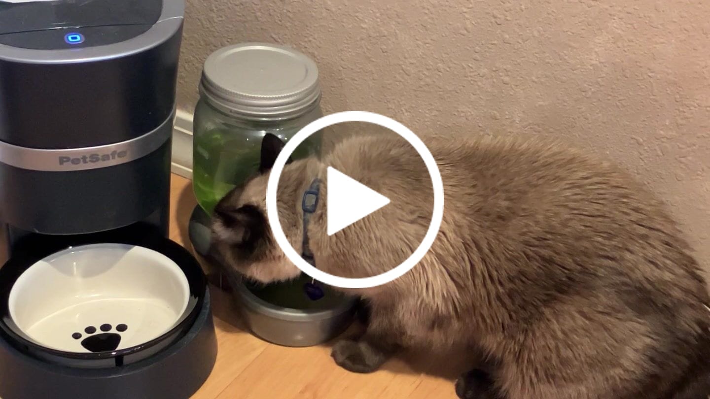 Customer video review of HealthyMouth® Water Additive for Cats (Clinically Proven, VOHC Accepted)